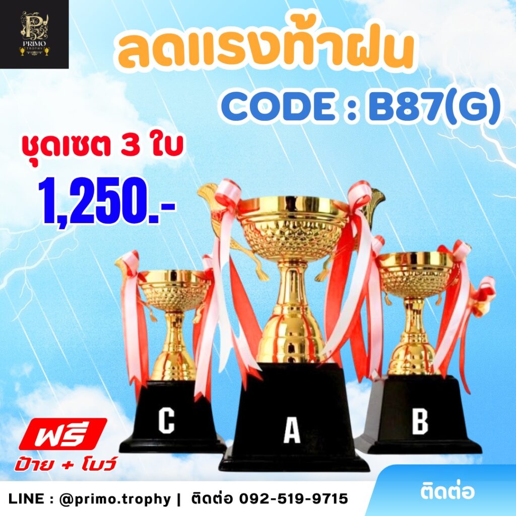 ถ้วยรางวัลโลหะ