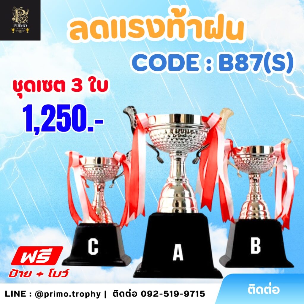 ถ้วยรางวัลโลหะ