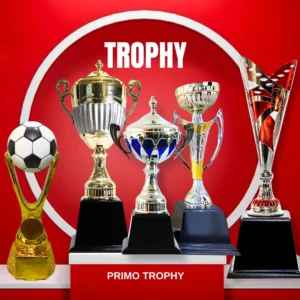 ถ้วยรางวัล